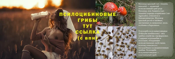 амф Абаза