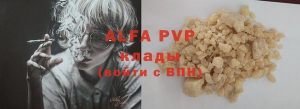 прущие грибы Сатка